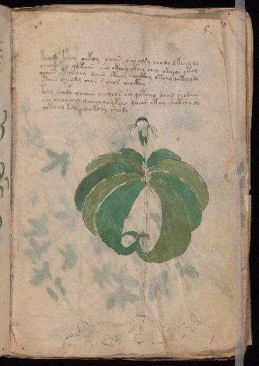 Voynich f5r